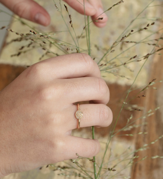 5 OCTOBRE - Raja Ring - Diamond GS