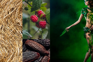 PIERRE GUILLAUME PARIS - Orchidivy 50ML