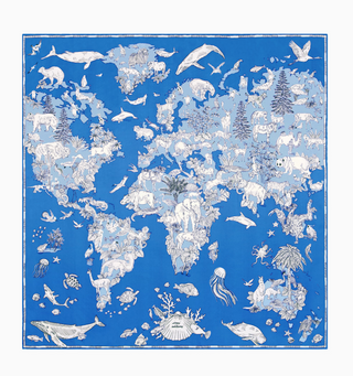 INOUI - Square Atlas 70 - Blue