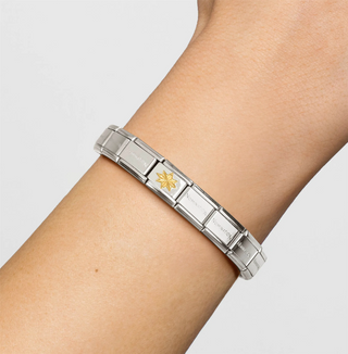 Nomination - Link CLASSIC steel 18k gold WIND ROSE