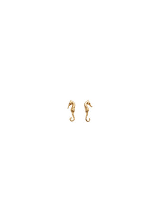 Pico Copenhagen - Seahorse Studs - Gold