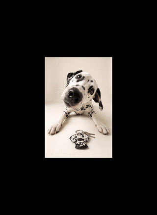 AGNELLE - Dalmatien Key Ring