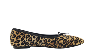 Lolo Ballerina - Volcano Cavallino - Wildcat