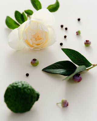 MAISON LOUIS MARIE - Perfume Oil Antidris Cassis