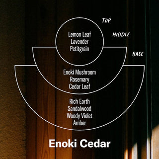 PF CANDLE CO. - Enoki Cedar - Alchemy Candle