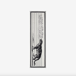 INOUI - Scarf Impromptu 55 - White