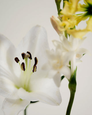 MAISON LOUIS MARIE - Parfume Oil No. 05 Kandilli