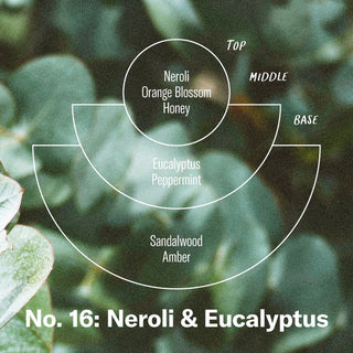 PF CANDLE CO. - NO. 16 Neroli & Eucalyptus - Standard