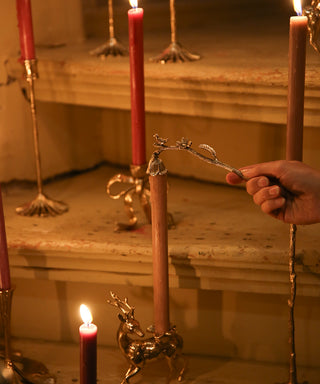 DOING GOODS - Chirpy Candle Snuffer