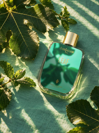 PIERRE GUILLAUME PARIS - Leaf Room Spray 100ml