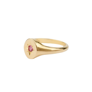 All The Luck in the World - Oasis Goldplated Ring Signet - Pink Star